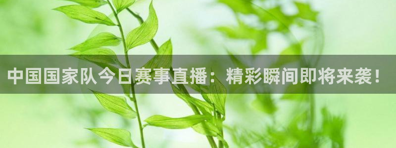  中国国家队今日赛事直播：精彩瞬间即将来袭！