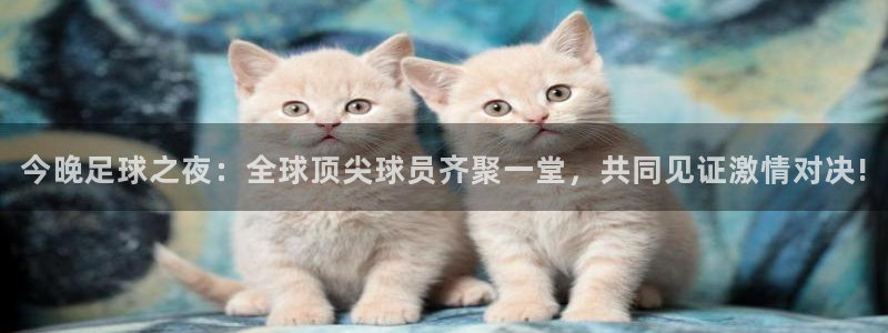  678体育现在叫什么：今晚足球之夜：全球顶尖球员齐聚一堂，共