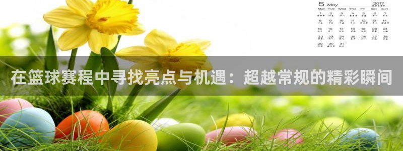 678体育停止服务公告：在篮球赛程中寻找亮点与机遇：超越常规