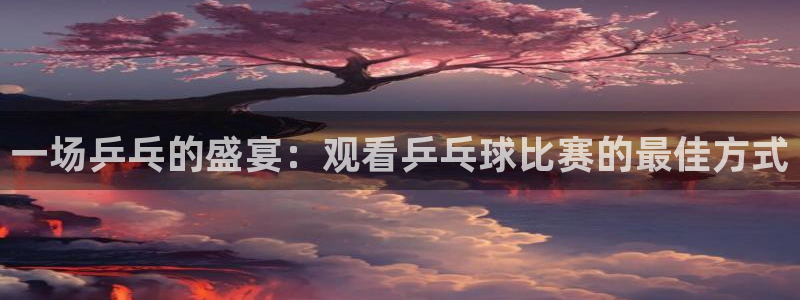 678体育网站被叔叔查了：一场乒乓的盛宴：观看乒乓球比赛的最