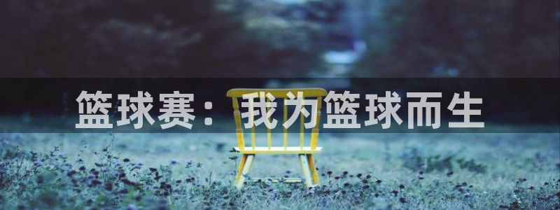  678体育app：篮球赛：我为篮球而生