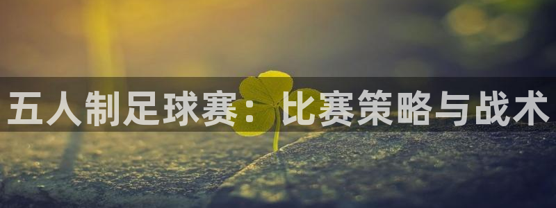 678体育软件怎么样：五人制足球赛：比赛策略与战术