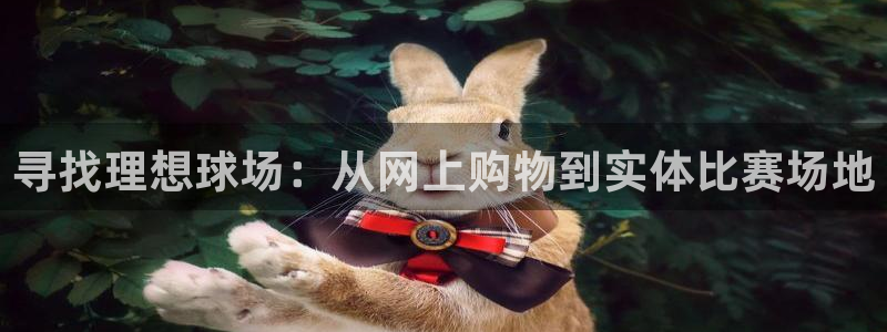 678苹果版下载：寻找理想球场：从网上购物到实体比赛场地